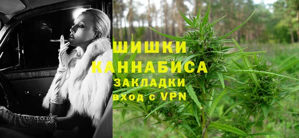 хмурый Каменногорск