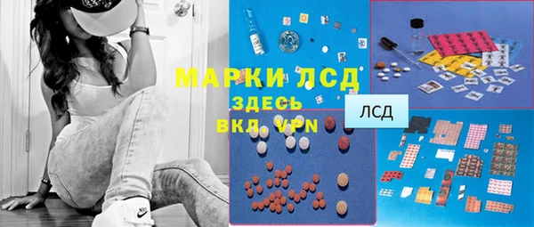хмурый Каменногорск